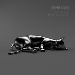 Silver Cat