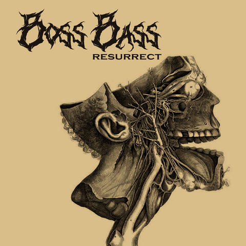 Boss Bass