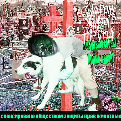 Я ебу твою собаку прямо в сраку
