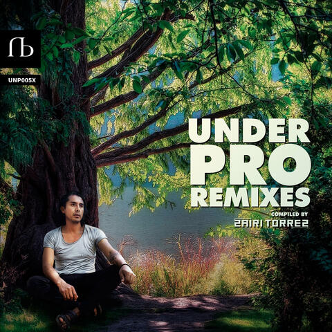 Under Pro Remixes, Vol. 1