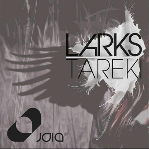 Tareki