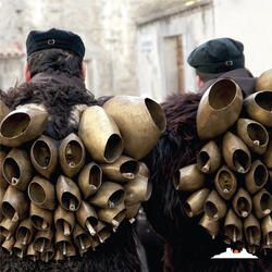 We Are the Troglodytes