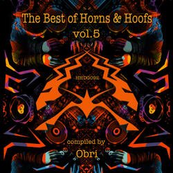 808 Nights