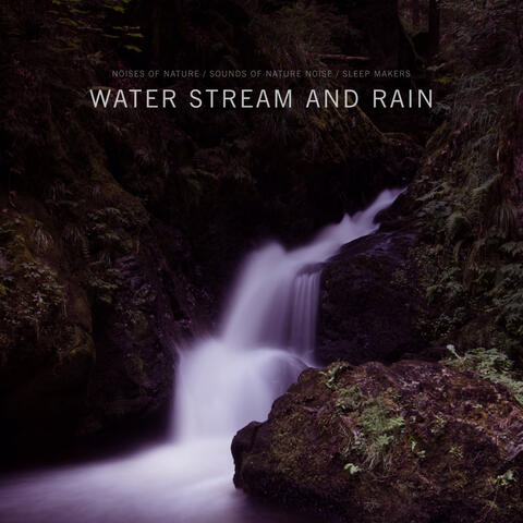 Water Stream and Rain