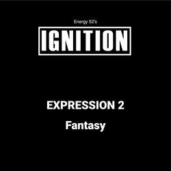 Expression 2