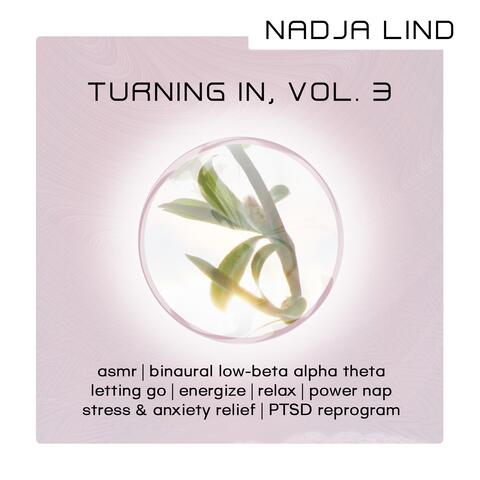 Turning In, Vol. 3 - Pineal Gland