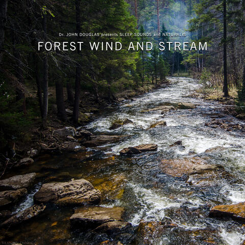 Forest Wind and Stream