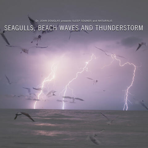 Seagulls, Beach Waves and Thunderstorm