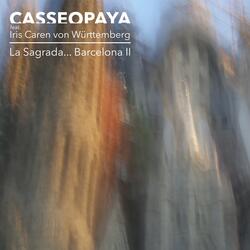 La Sagrada... Barcelona II