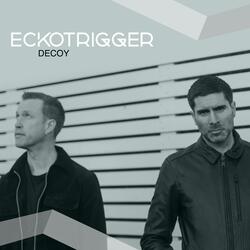 Decoy