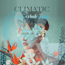 Urbaniac