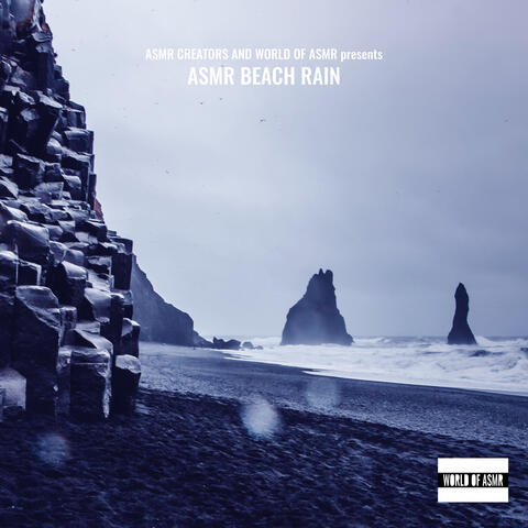 Asmr Beach Rain