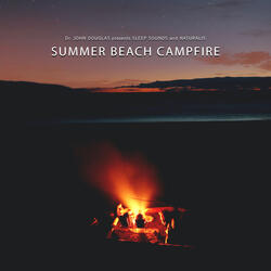 Summer Beach Campfire
