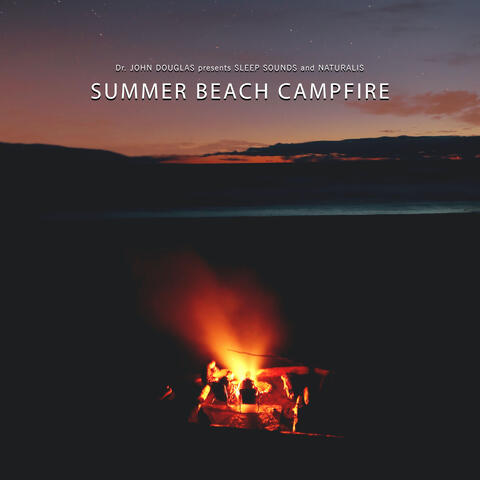 Summer Beach Campfire