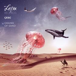 Grains of Sand