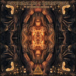 Psychedelics & Perceptions