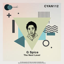 The Next Level