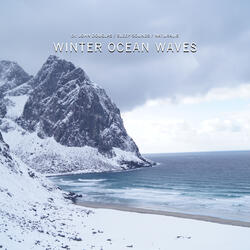 Calm Beach Waves in Winter