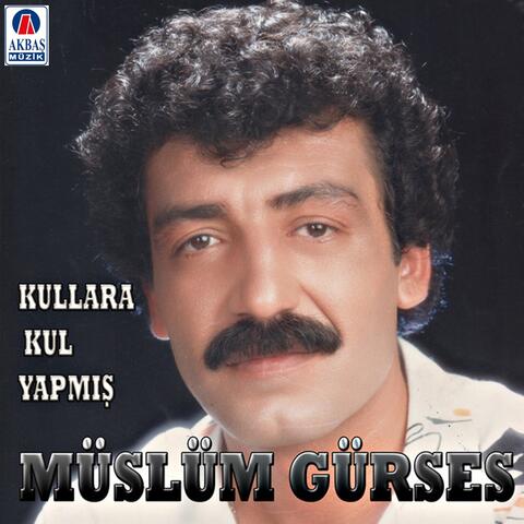Kullara Kul Yapmış