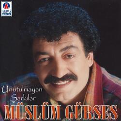 Geç Kalmış DeğIlsin