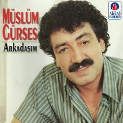 O Sevgi Sensin