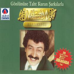 Haydar Haydar
