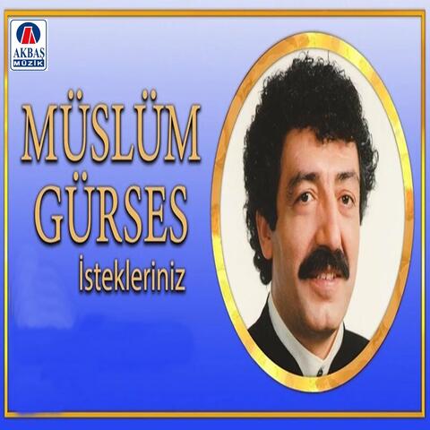İsteklerim
