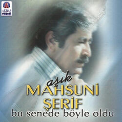 Yaralı Aslan