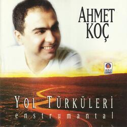 Devrelerin Aşkı
