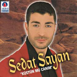 Bitti Bu Sevda
