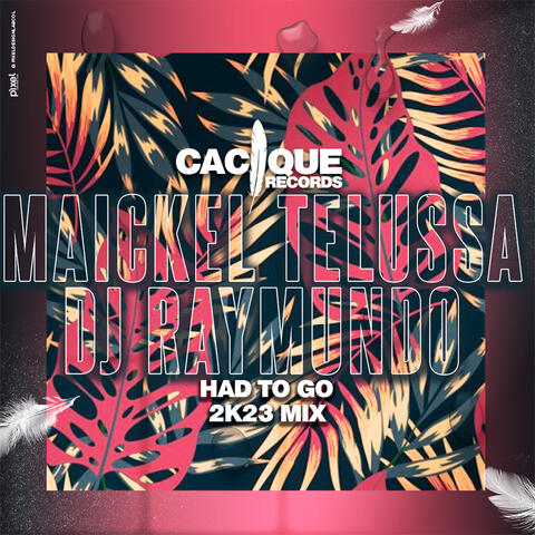 Had to Go 2k23 Mix (Maickel Telussa , DJ Raymundo Had To Go 2K23 Remix)