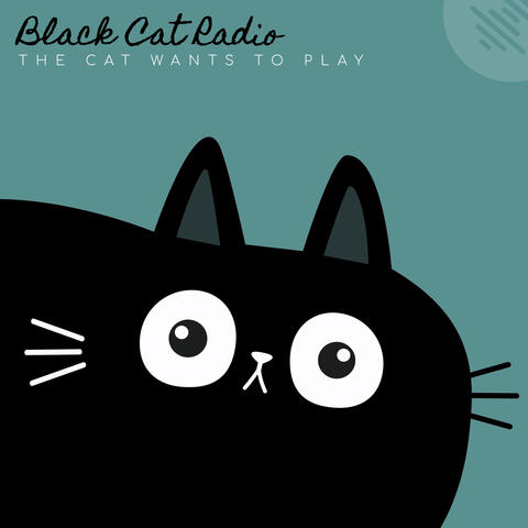 The Cat Wants to Play