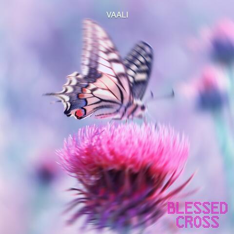 Vaali