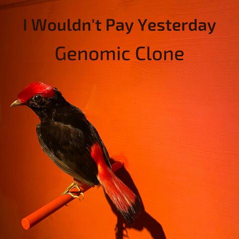 I Wouldn't Pay Yesterday