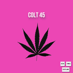 Colt 45