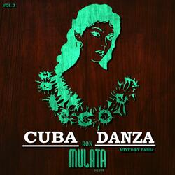 Ron Mulata, Vol. 2