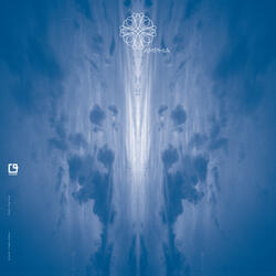 Choice of Ancillaries