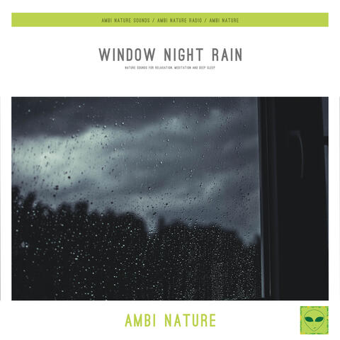 Window Night Rain