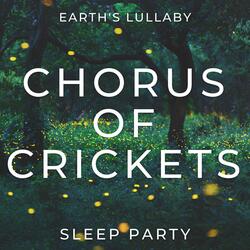 Chorus of Crickets