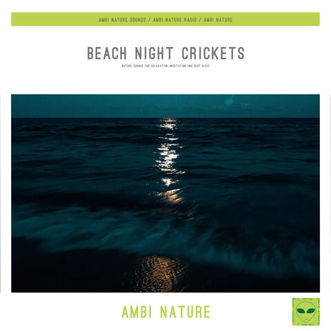 Beach Night Crickets (Nature Sounds for Relaxation, Meditation and Deep Sleep)