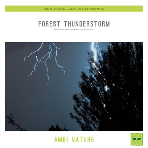 Forest Thunderstorm (Nature Sounds for Relaxation, Meditation and Deep Sleep)