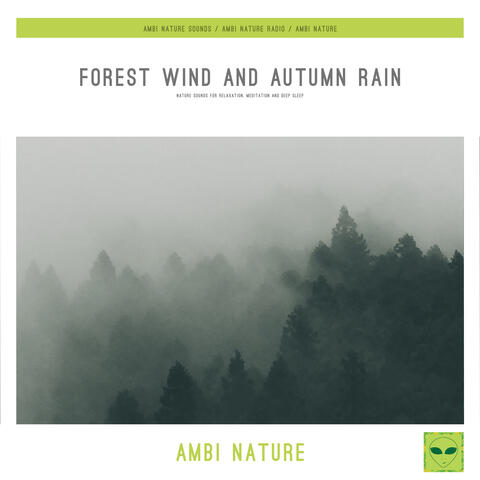 Forest Wind and Autumn Rain (Nature Sounds for Relaxation, Meditation and Deep Sleep)