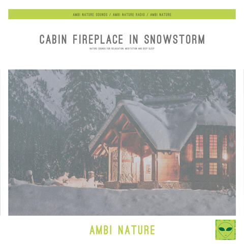Cabin Fireplace in Snowstorm (Nature Sounds for Relaxation, Meditation and Deep Sleep)