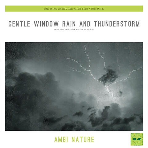 Gentle Window Rain and Thunderstorm (Nature Sounds for Relaxation, Meditation and Deep Sleep)