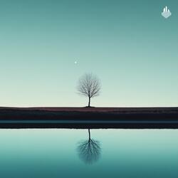 Ocean Mirror