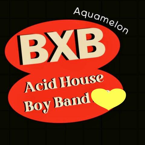 Acid House Boy Band