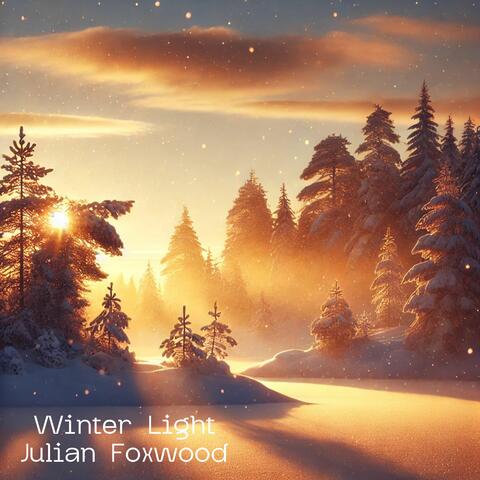 Winter Light