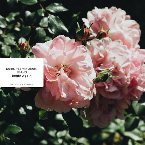 Begin Again