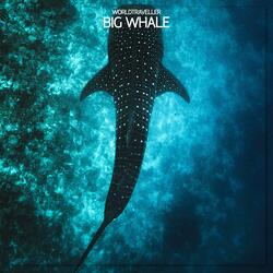 Big Whale