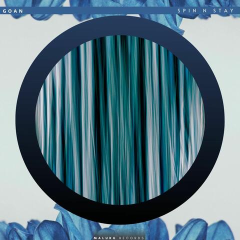 Spin N Stay